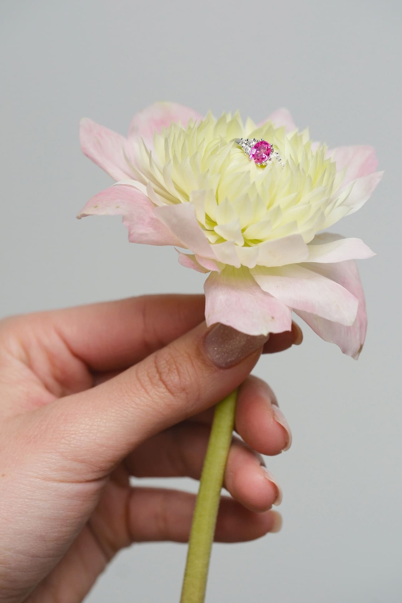 Zaffiro Rosa Oval - immagine 6